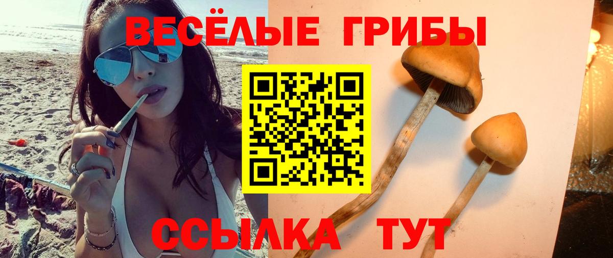 Псилоцибиновые грибы мицелий Северск